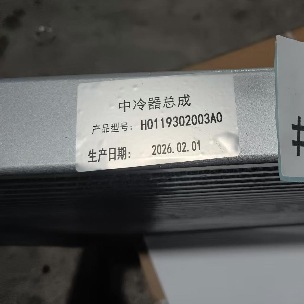 مجموعة مبرد الهواء البيني لهواء المحرك الثقيل FOTON H0119302003A0 لشاحنة FOTON AUMAN