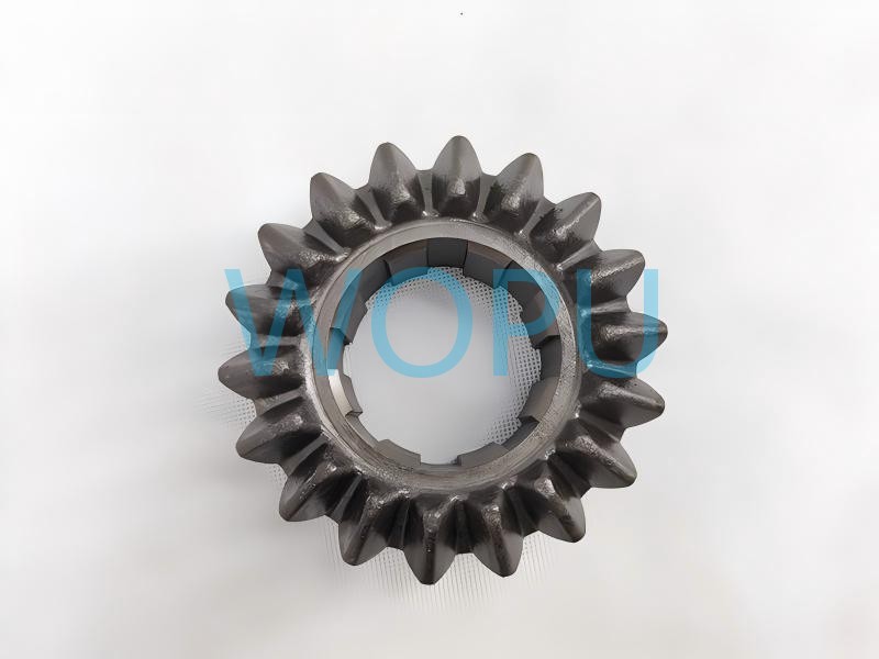 FK024 (5)