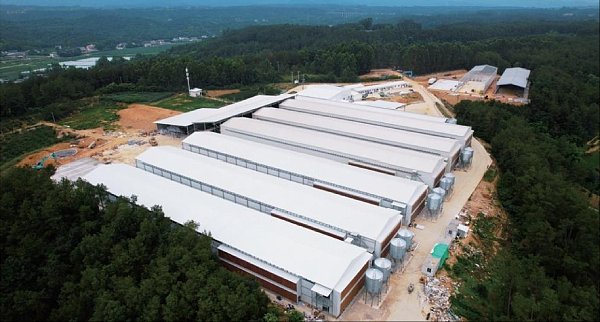 Prefabricated Steel Structure Prefabricated Steel Structure