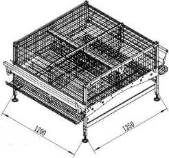 H-Type Automated Layer Cage System