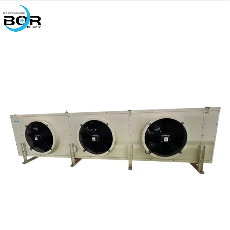 800x800(2 800x800(2
