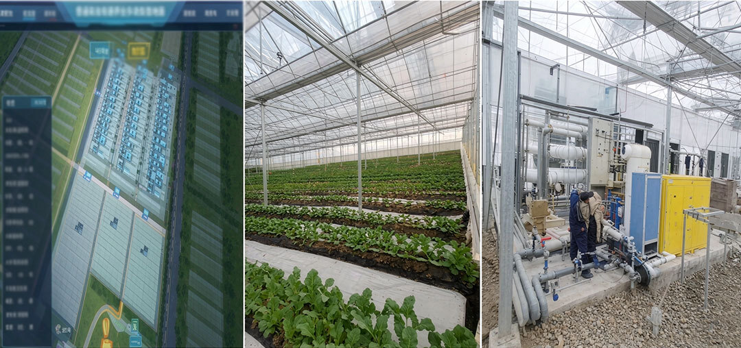 Industry Dynamics | Autonomous Machinery and Robotics Accelerate Adoption: Modern Farms Embrace the Era of "Unmanned" Operations