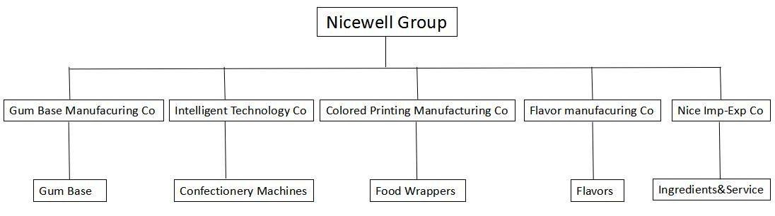 nicewell group.jpg