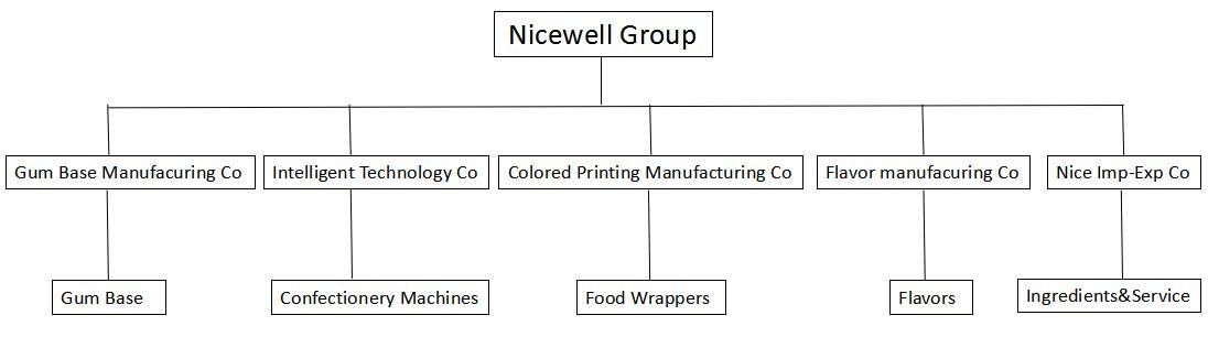 nicewell group.jpg
