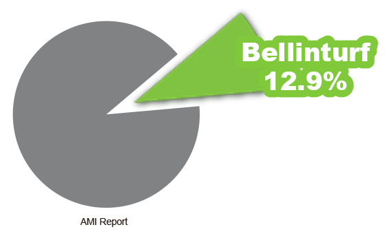 حصة سوق عالية للعشب الصناعي من حيث الحجم على مستوى العالم في عام 2023 حصة سوق عالية للعشب الصناعي من حيث الحجم على مستوى العالم في عام 2023