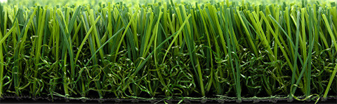 Bellin-Fuerte Pro D50