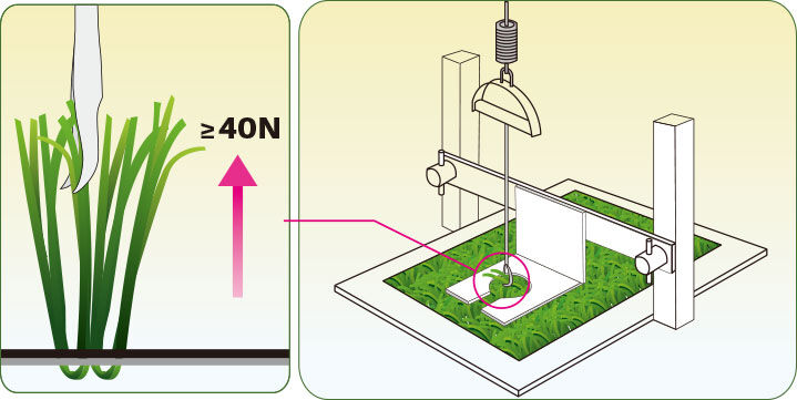In-house Production for All Products
