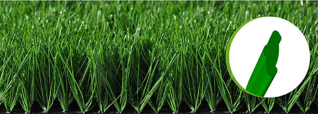 Bellin-Evolution  60160T