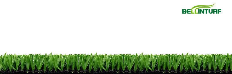 Winner set Winner set