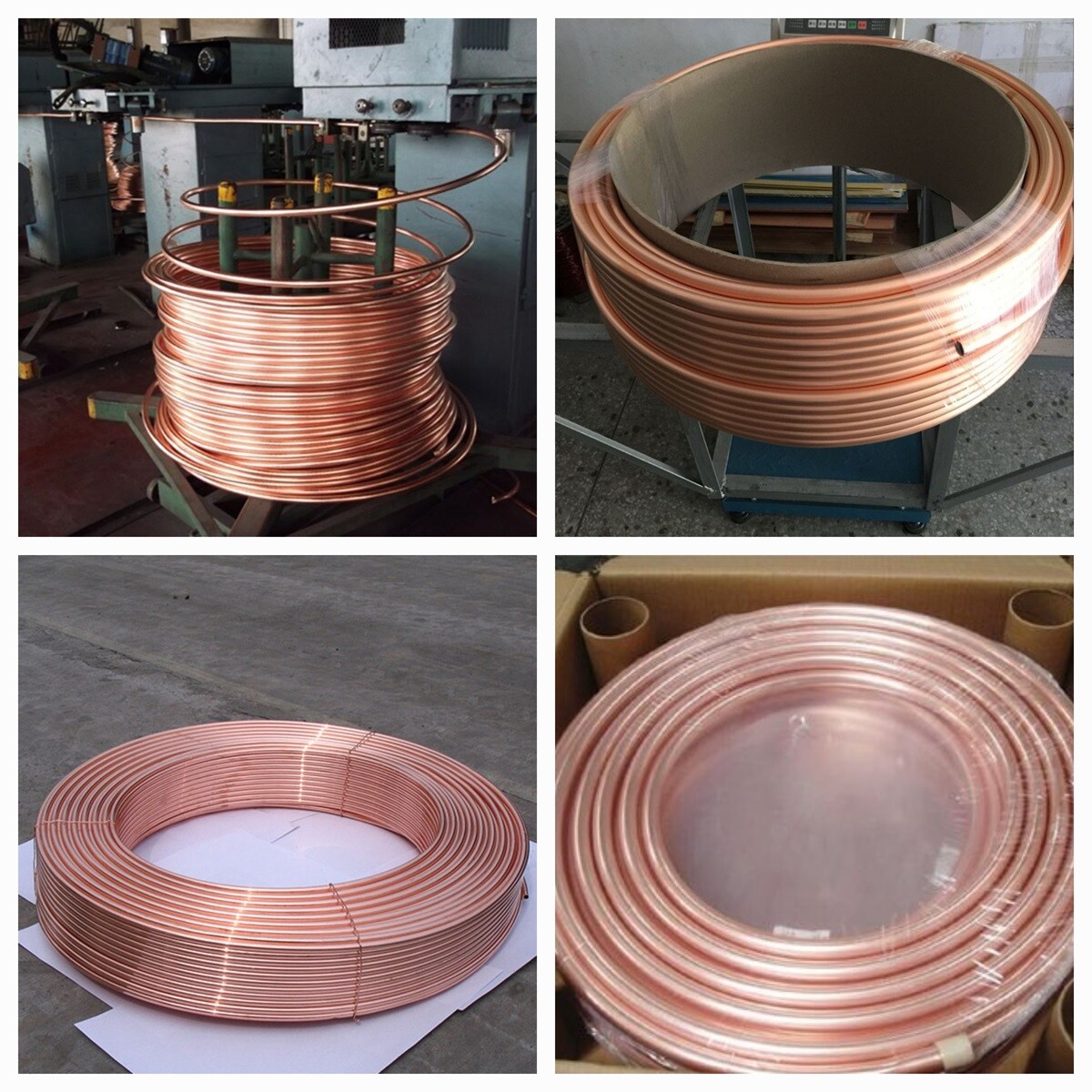 21bfcbc908d388e13505bbb6d63f291.jpg 21bfcbc908d388e13505bbb6d63f291.jpg