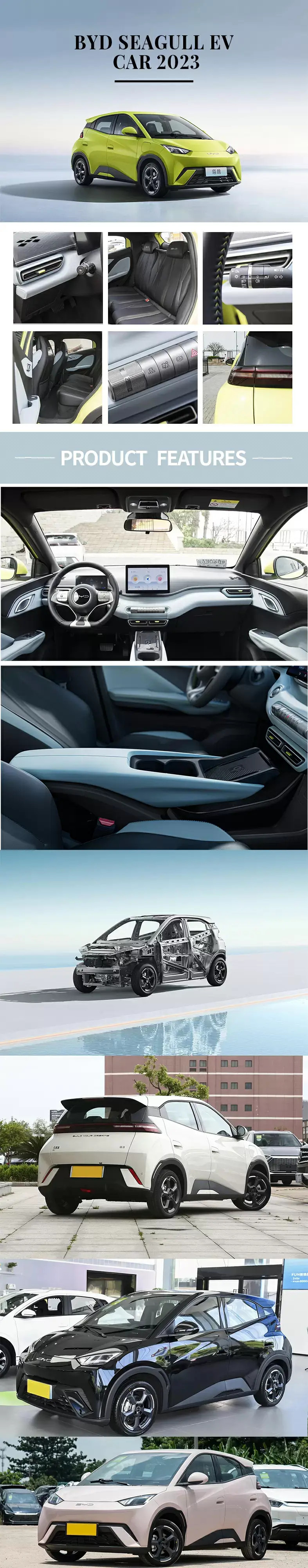 seagull_format.jpg seagull_format.jpg