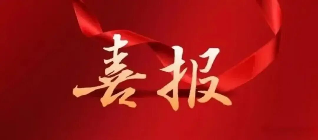 以党建引领，赢得赞誉；以务实行动和坚定承诺，开启新征程。