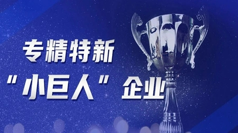 أخبار جيدة! تم تكريم Zhouxiang باعتبارها مؤسسة "صغيرة عملاقة" متخصصة وجديدة على المستوى الوطني