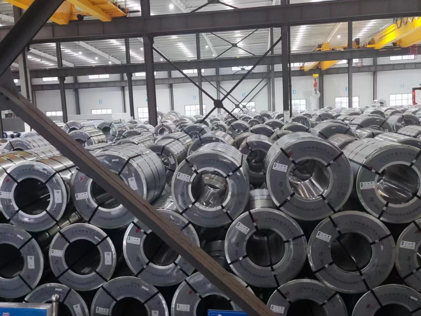 لفائف المدرفلة على البارد