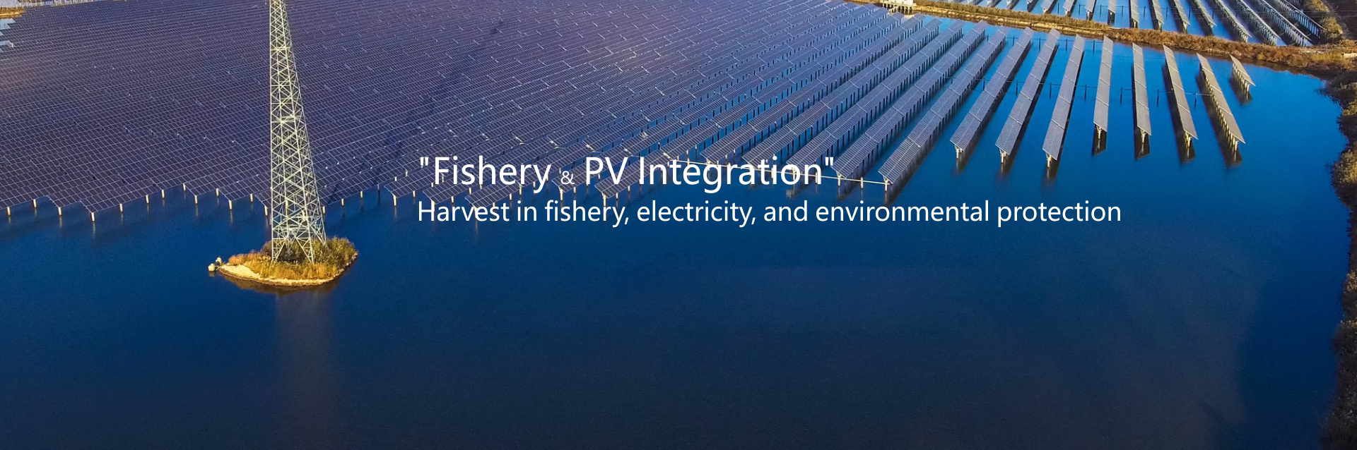 العمليات والصيانة الذكية، "التكامل بين مصايد الأسماك والطاقة الكهروضوئية" خبير العمليات الذكية