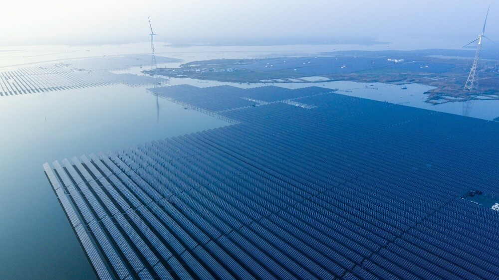 ____________2.jpg ____________2.jpg