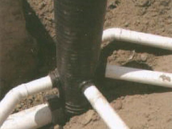 وقد اتبعت الشركة دائمًا سياسة إدارة 