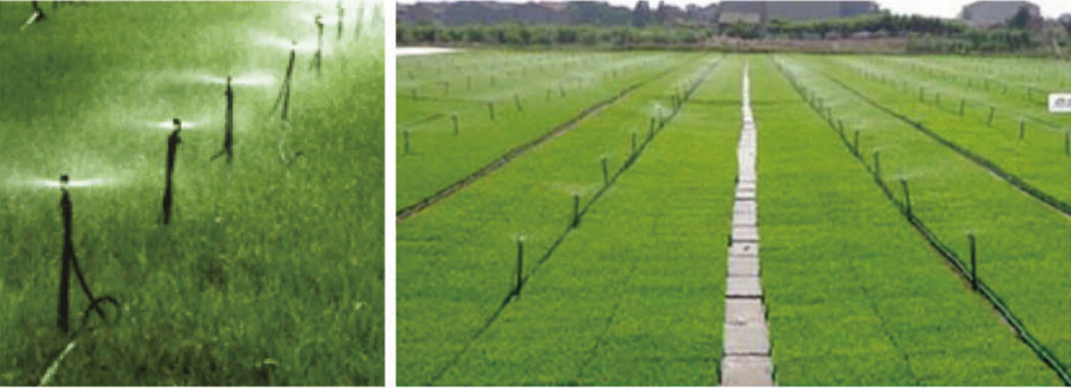 Ground Micro Spray.jpg Ground Micro Spray.jpg