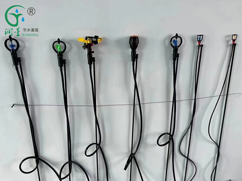 رش ميكرو أرضي