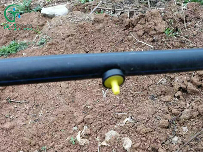 ري يونغكوان