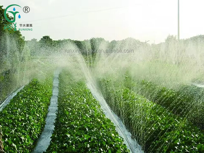 شريط رذاذ رذاذ دقيق عالي الجودة