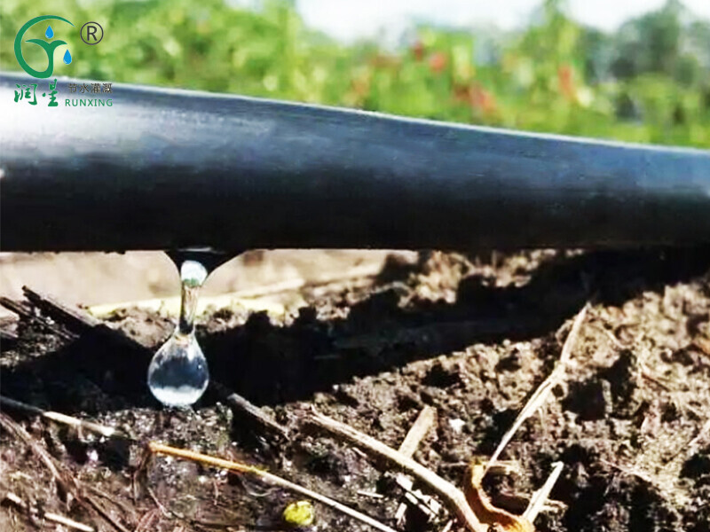 أنابيب ري بالتنقيط عالية الجودة