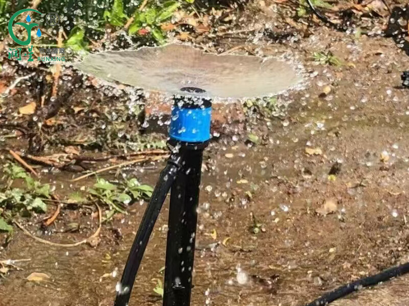 فوهة إدخال أرضية