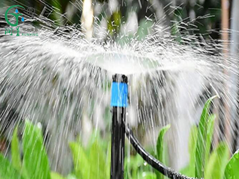 فوهة إدخال أرضية