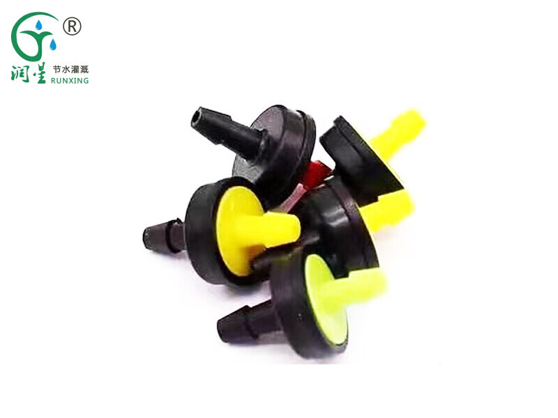 ري يونغكوان