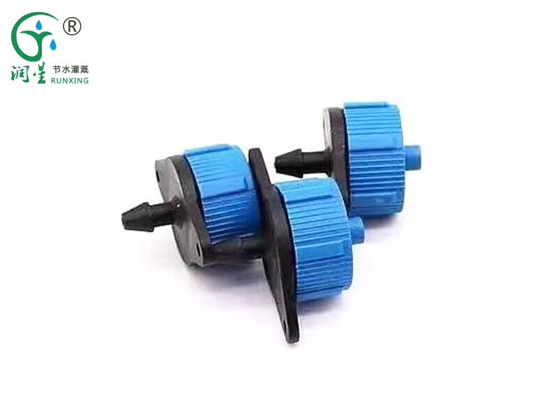 ري يونغكوان