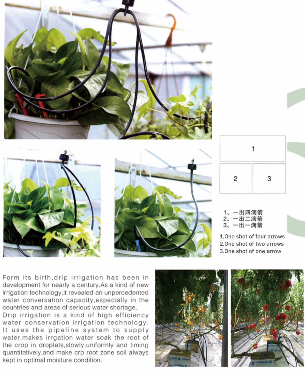 Drop Arrow1.jpg Drop Arrow1.jpg