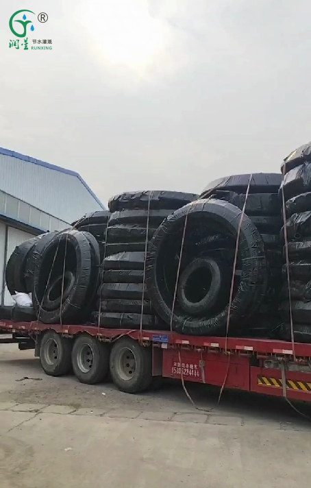 الري الفعّال للصوب الزراعية: السيد الشامسي من الشارقة يختار أنابيب الري بالتنقيط الخاصة بنا الري الفعّال للصوب الزراعية: السيد الشامسي من الشارقة يختار أنابيب الري بالتنقيط الخاصة بنا