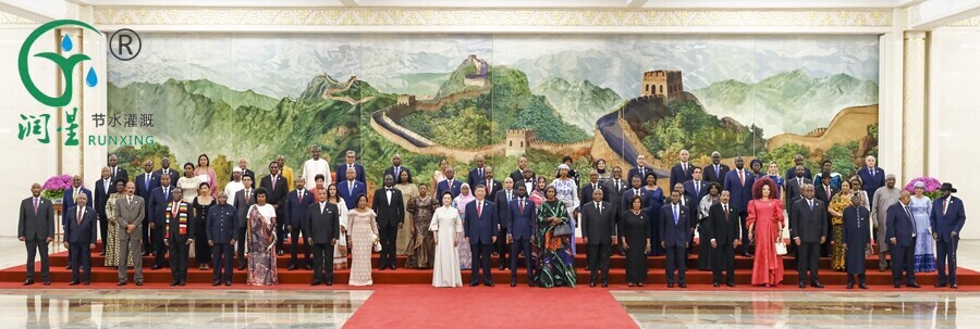 "المسافة ليست عائقًا أمام الصداقة؛ على الرغم من الأميال التي تفصلنا، نظل جيرانًا" — قمة بكين لمنتدى التعاون الصيني الأفريقي 2024** "المسافة ليست عائقًا أمام الصداقة؛ على الرغم من الأميال التي تفصلنا، نظل جيرانًا" — قمة بكين لمنتدى التعاون الصيني الأفريقي 2024**