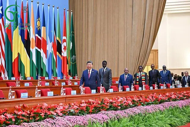 中非论坛2.jpg 中非论坛2.jpg