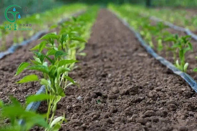 شريط التنقيط الزراعي بالجملة