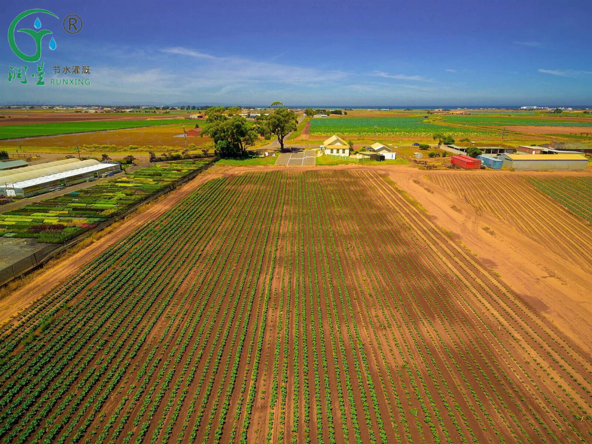 素材1.jpg 素材1.jpg