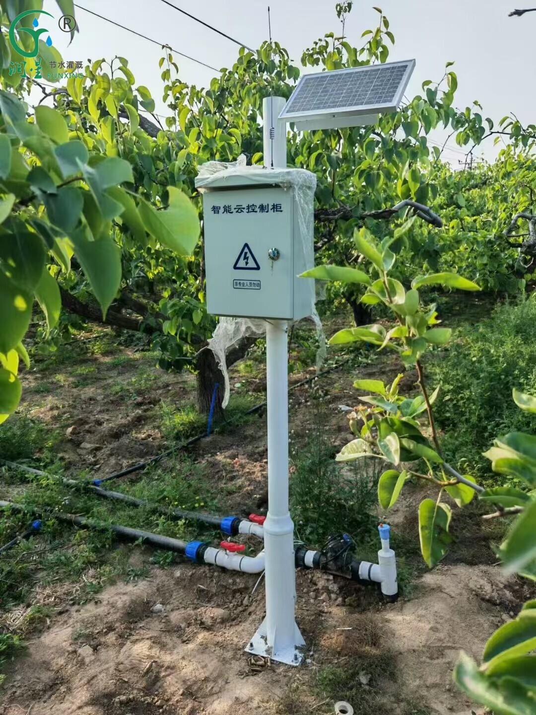 مصباح مبيد الحشرات IoT