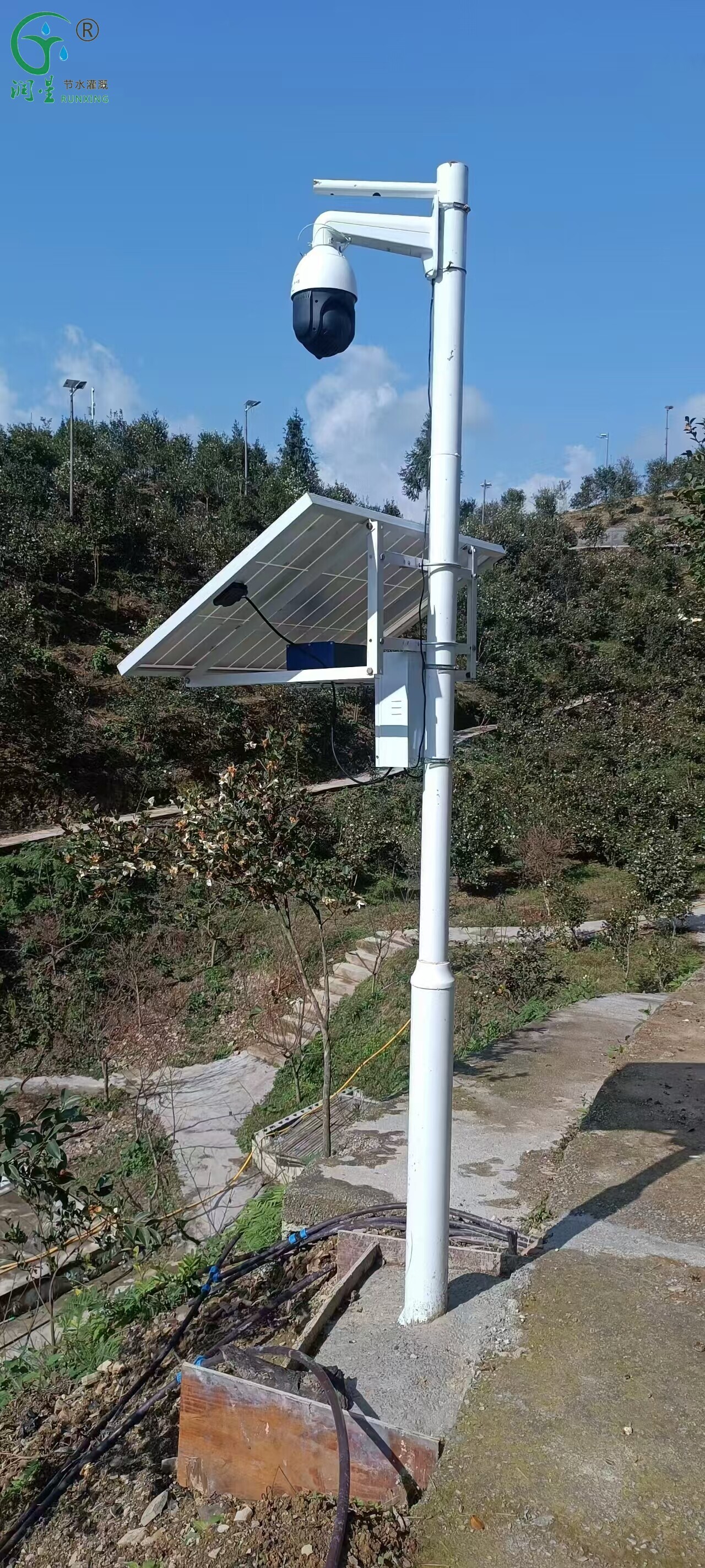 مصباح مبيد الحشرات IoT