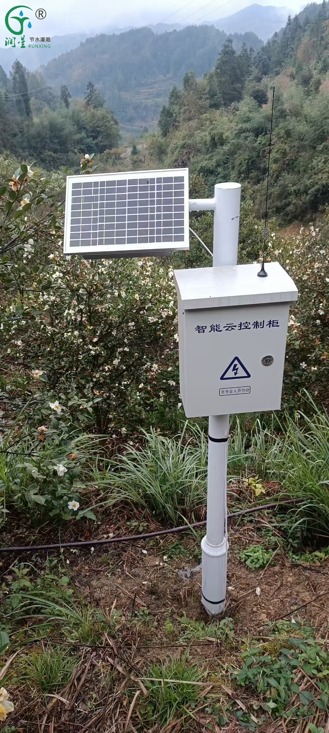 مصباح مبيد الحشرات IoT