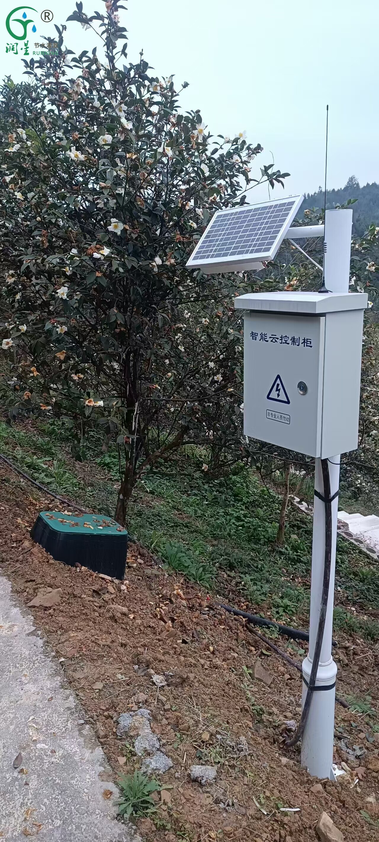 مصباح مبيد الحشرات IoT