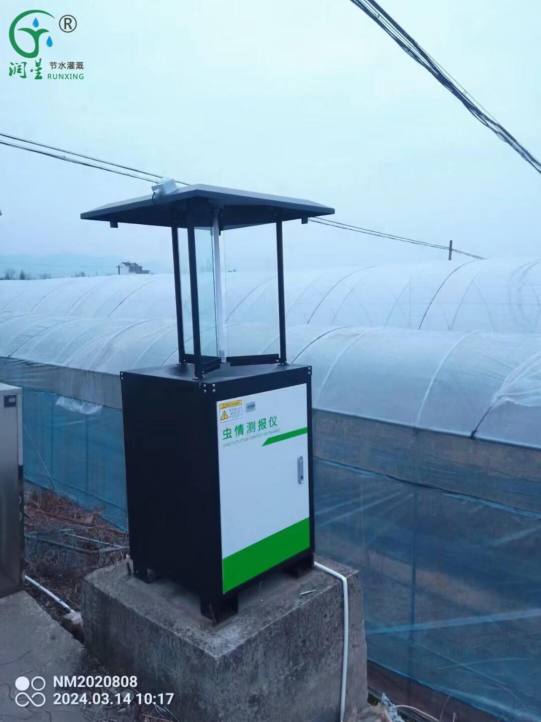 أداة رصد الآفات الحشرية