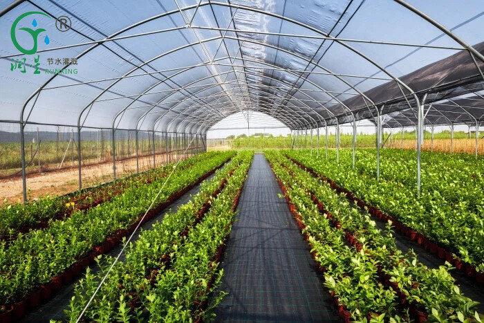 فوائد الري بالتنقيط لخضروات الدفيئة فوائد الري بالتنقيط لخضروات الدفيئة