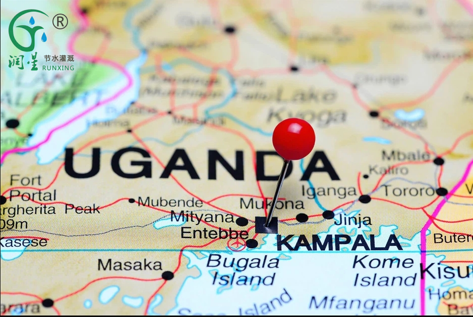 تحليل سوق الري بالتنقيط في أوغندا تحليل سوق الري بالتنقيط في أوغندا