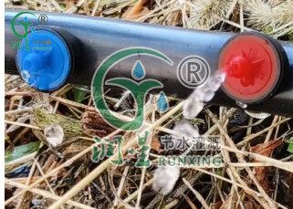 على الأنبوب الخارجي - قطارة مضادة للتنقيط وتعويض الضغط