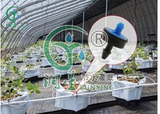 على الأنبوب الخارجي - قطارة مضادة للتنقيط وتعويض الضغط