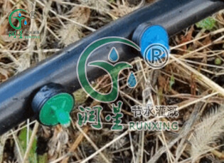 على الأنبوب الخارجي - قطارة مضادة للتنقيط وتعويض الضغط