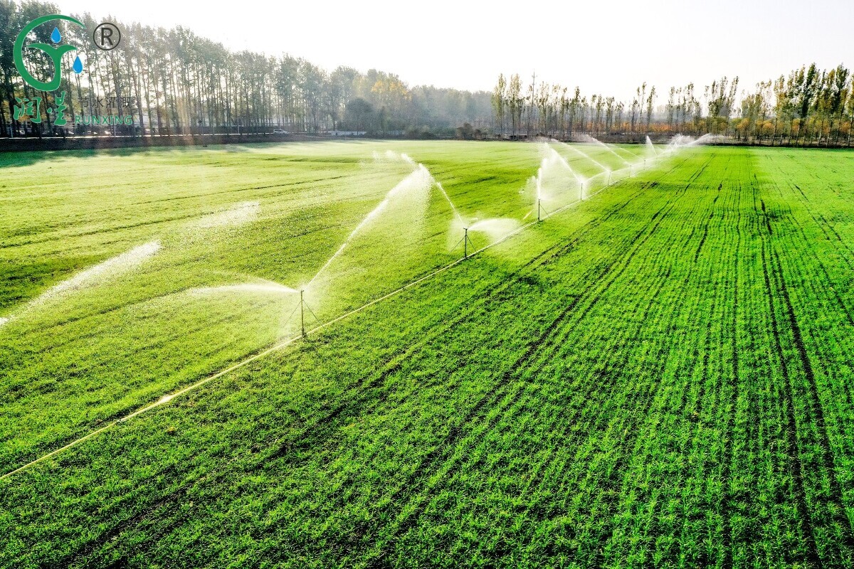 أنظمة الري بالتنقيط لزراعة القمح في الأرجنتين: تحسين المحصول والجودة أنظمة الري بالتنقيط لزراعة القمح في الأرجنتين: تحسين المحصول والجودة