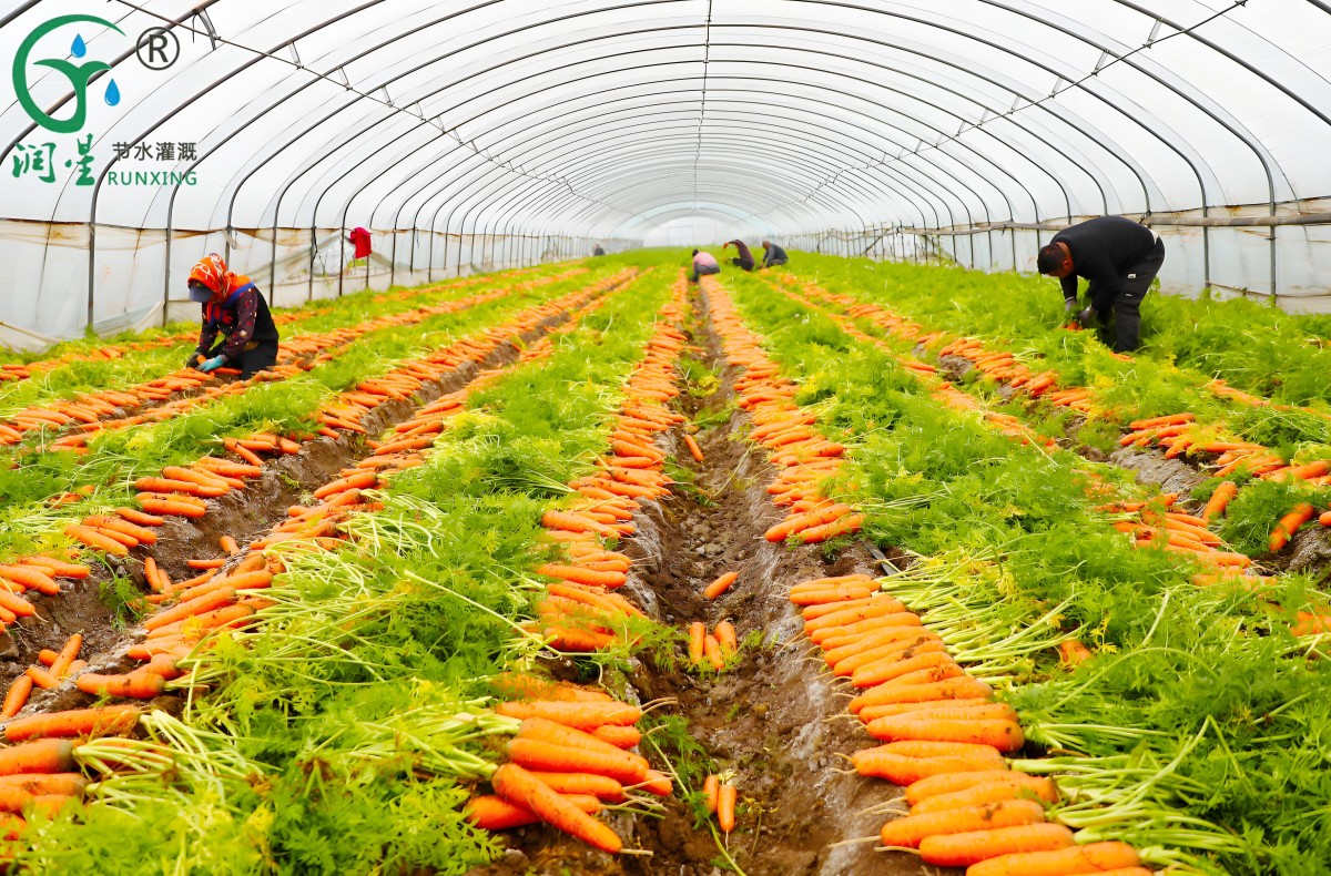 123(1).jpg 123(1).jpg