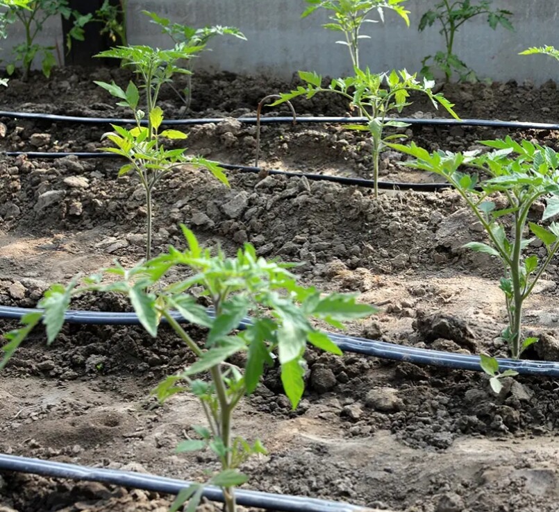 شريط الري بالتنقيط اللاصق للري بالتنقيط