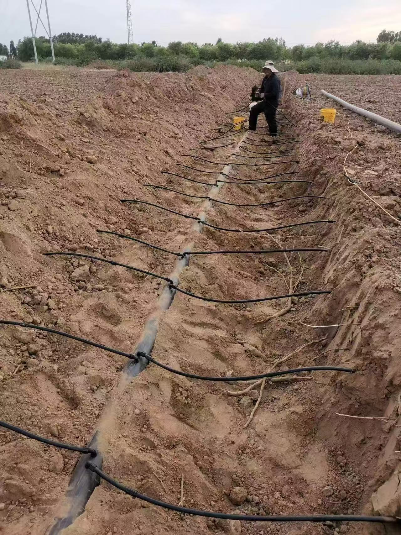 أنابيب الري بالتنقيط تحت السطح